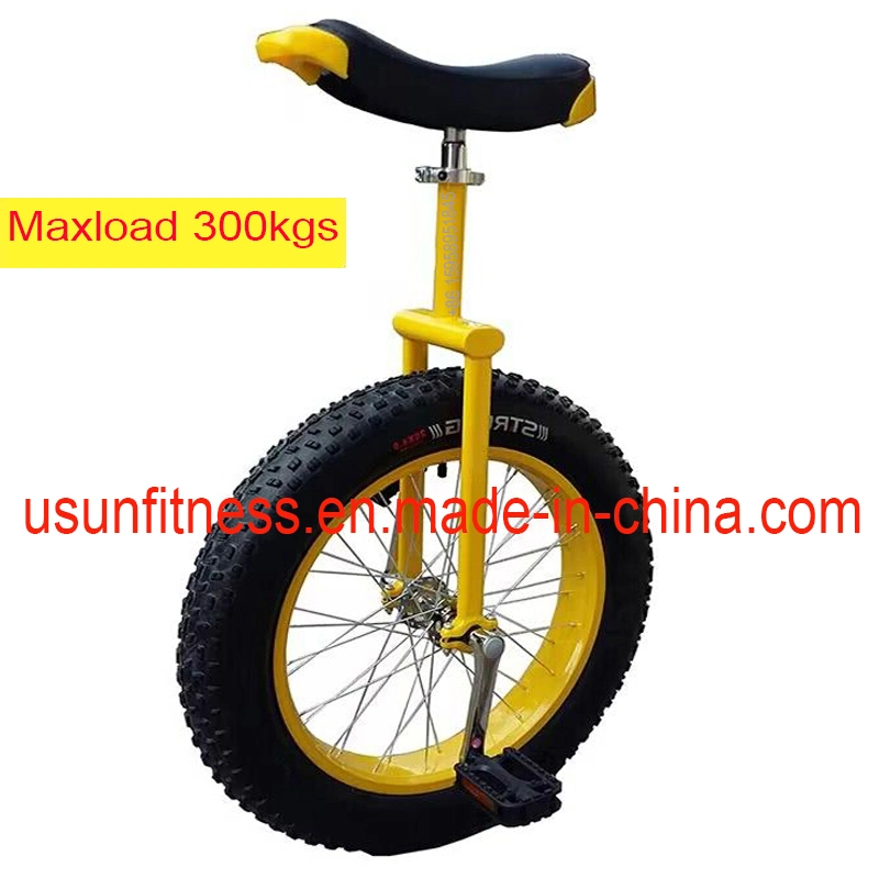 26 Inch Fat Tire Bike Self Balance Bike Amazon Hot Products with Factory Price