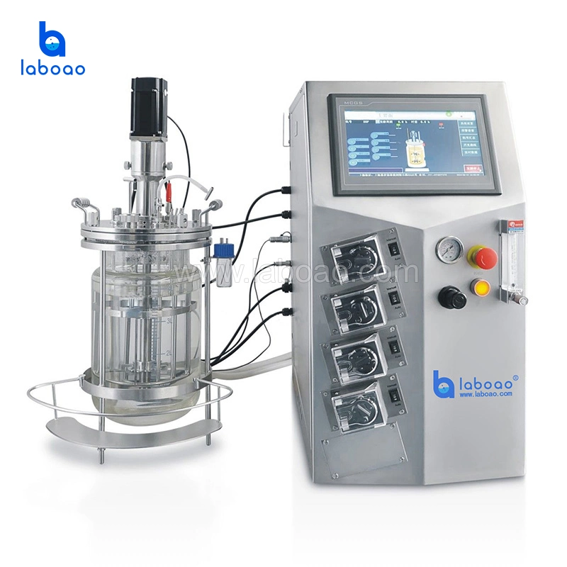 Laboao Basic Multi Parallel Glass Bioreactor Fermenter Jacketed Bench Top Bioreactors