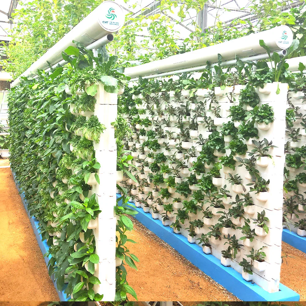 نظام الهيدرولوجيا القنوات العمودية النر م (ثقافة المياه العميقة) في حديقة الزهور Greenhouse Farm مع محلول غذائي