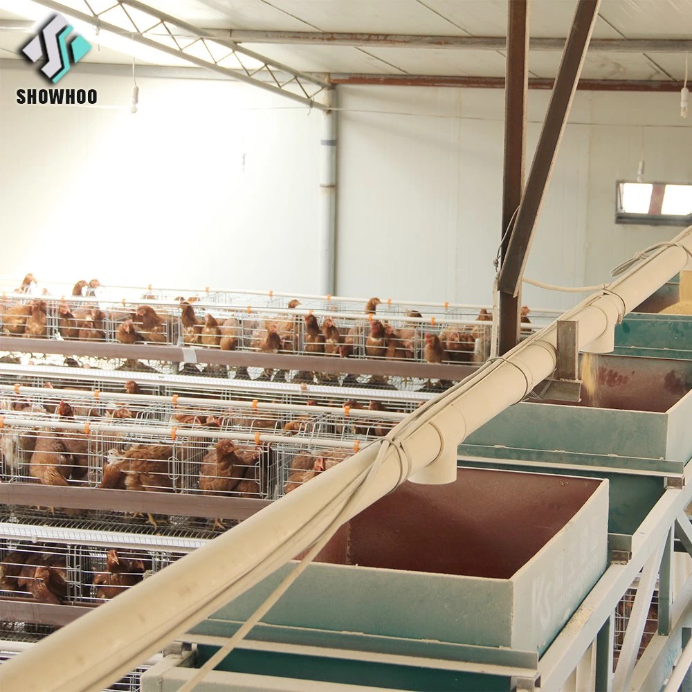 Caldera de aves de corral de Kenia el sistema de cultivo de la jaula de pollo