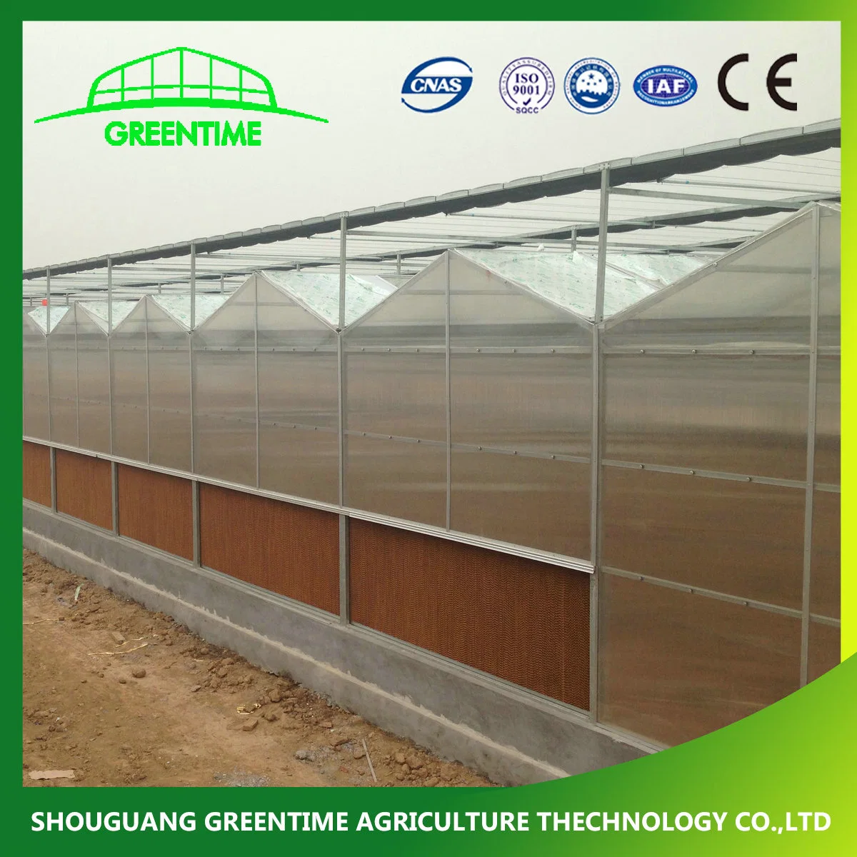 Commercial/Agricultural Solar PC Sheet/Polycarbonate Sheet Greenhouse with Hydroponic System