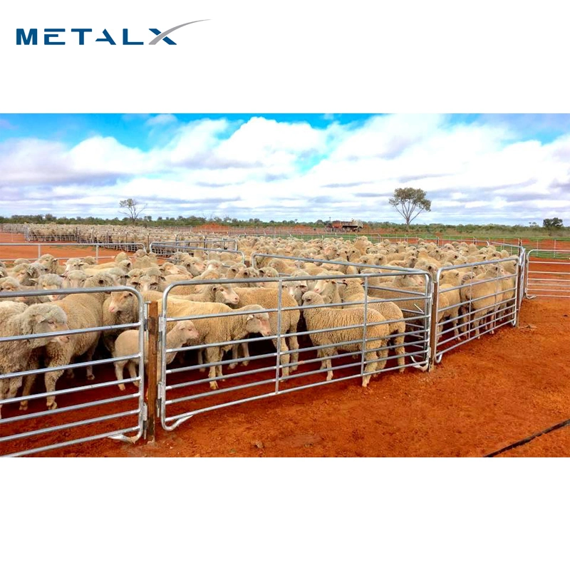 Tubería galvanizada Ganadería flexible Metal barato Australia usó ovejas Yardas Horse Cattle Fence Panels