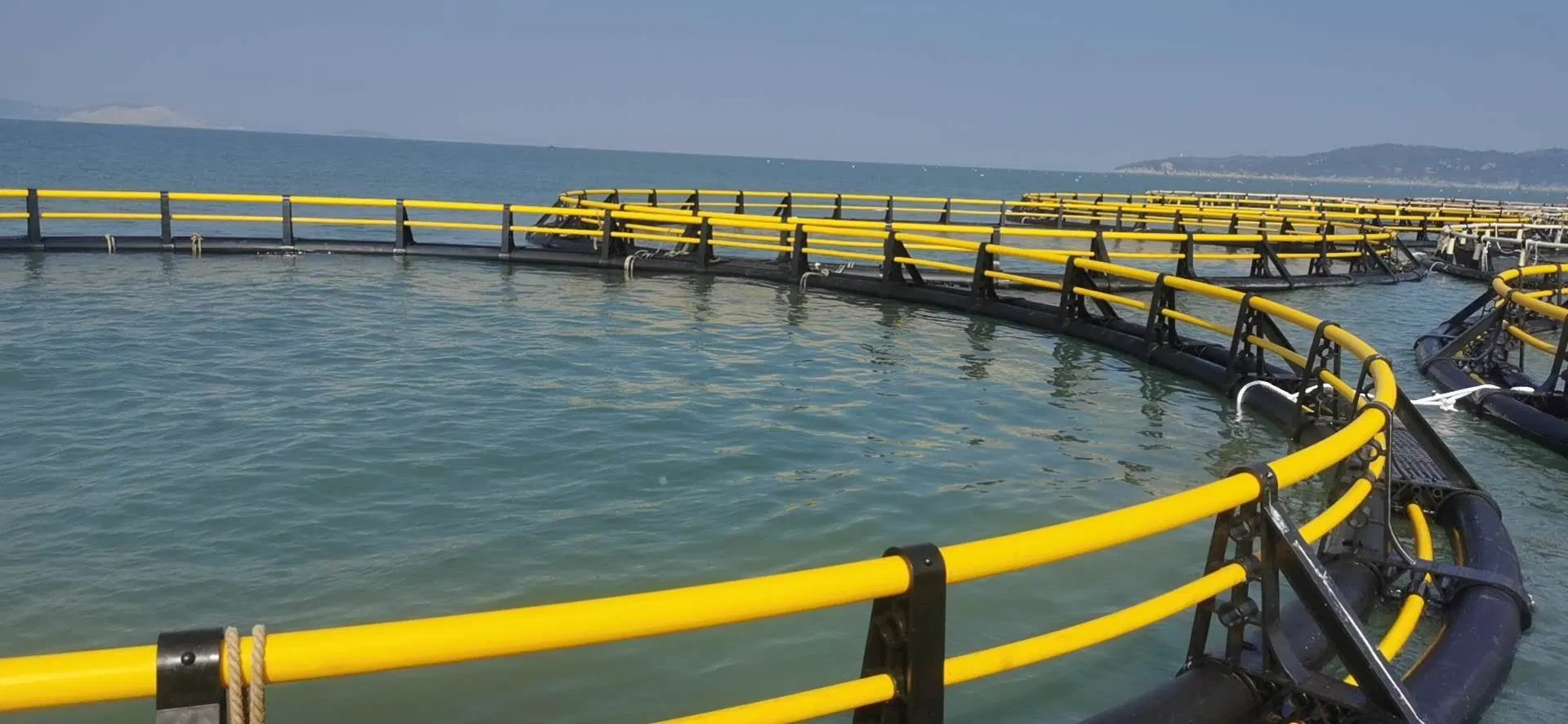 Strom resistir HDPE peces Flotante Jaula con sistema de amarre en el