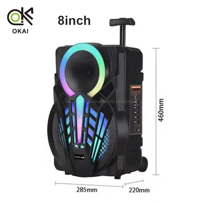 New Design Outdoor 8inch Portable Sound Equipment Wireless Bluetooth Trolley Speaker