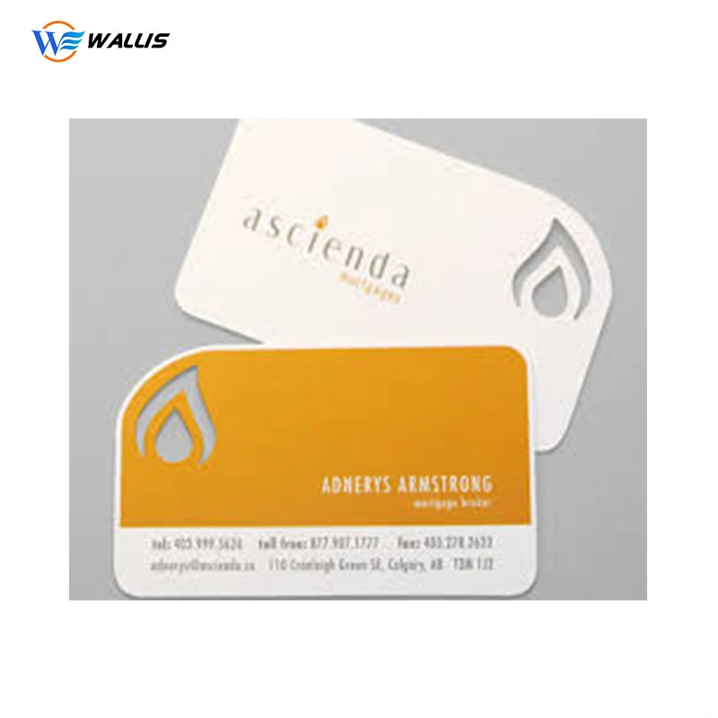 Pet/PVC/PC Card Punched Special-Shaped Card, Business Advertisement Cards