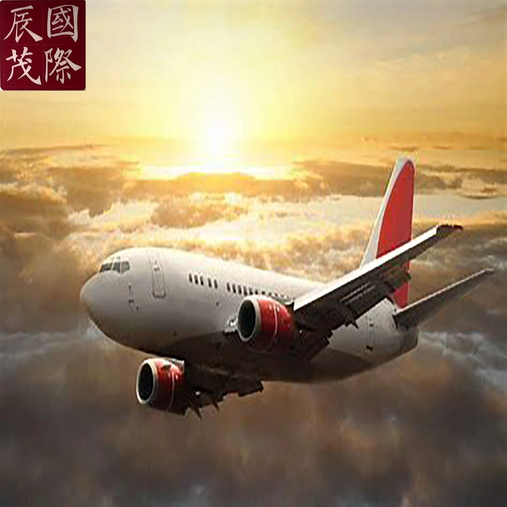 Air Cargo Agent Logistics Company Sea Drop Shipping From Guangzhou, Shenzhen to USA UK/Europe/Germany/Australia with Cheap Shipping Price Air Cargo/Railway/Sea