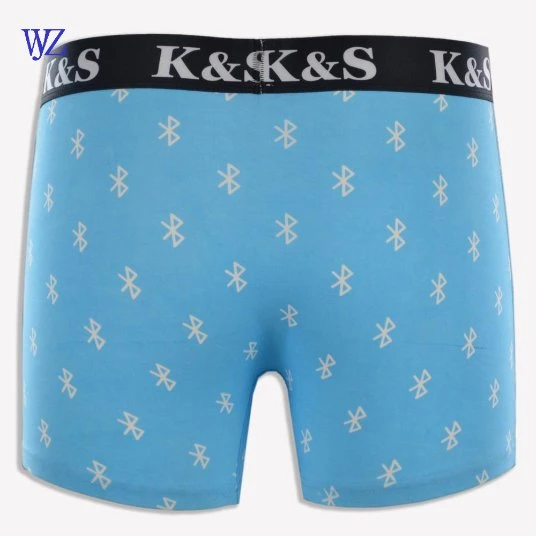 Brand Custom Men Boxer Briefs Underpants Homme Male Underwear