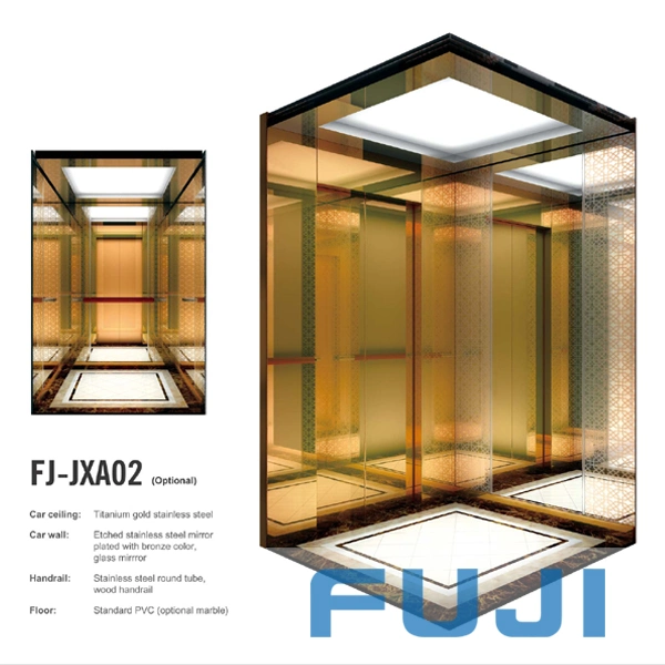 FUJI Manufacturer-Passenger Lift Home Elevator with Good Price