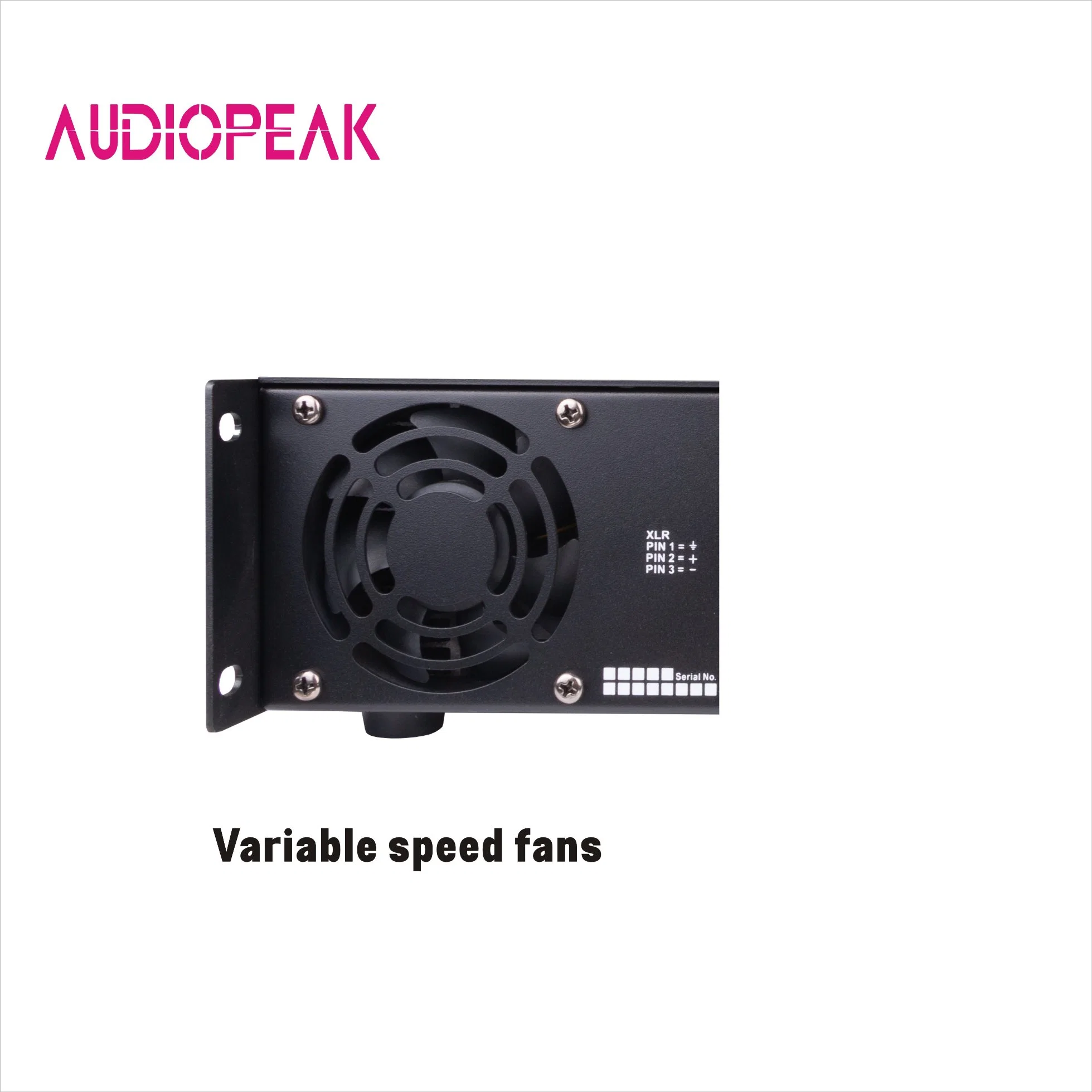 PA1000 Affortable Audiopeak amplificador de potencia de 2 canales para instalación fija