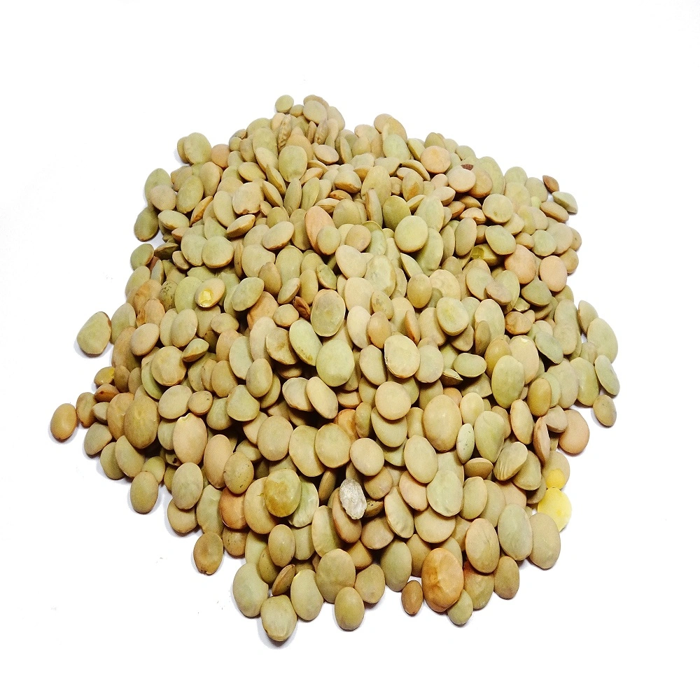 The High quality/High cost performance  Lentils with Low Export Price