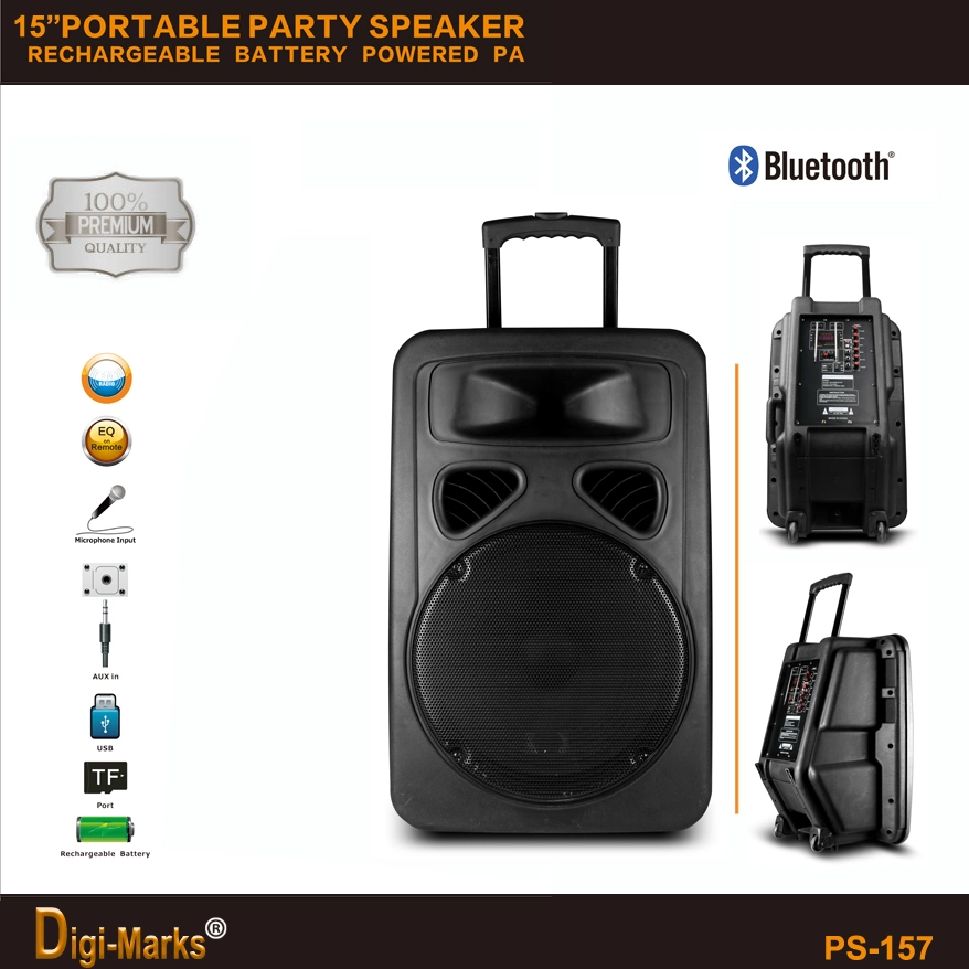 Perfect Sound 15'' Multi-Functional Outdoor Bluetooth Battery USB Micro SD Port Speaker