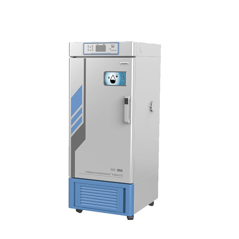 Chinese Factory Price Laboratory Air Mould Lab Incubator 100L Electric Incubators Temperature Incubator