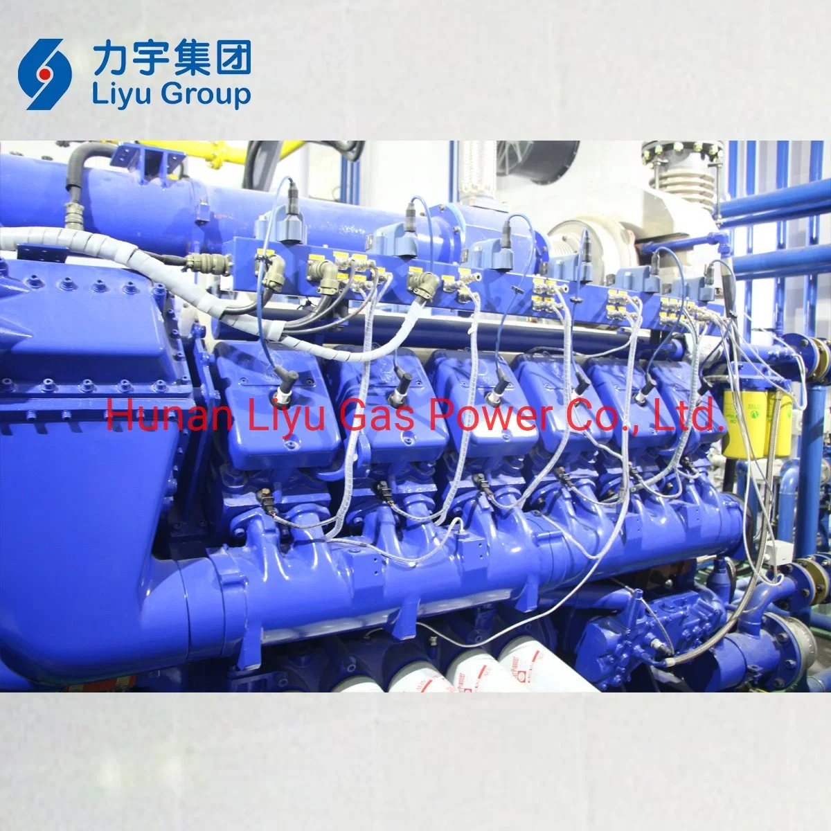 1000kw Biomass Turbine Generator Low Price for Sale