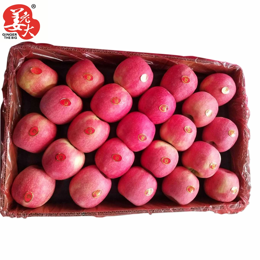 Good Quality Full Red Color 2020 Year New Crop FUJI Apple