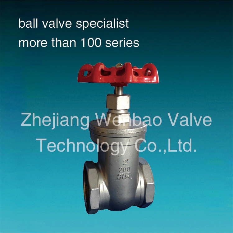 Stainless Steel/Carbon Steel/A105/FL2/F11/F22/F5/F304/F316/F321 Flange & Thread & Butt Weld & Socket Weld Forged Steel Check Globe Gate Valve Manufactrer