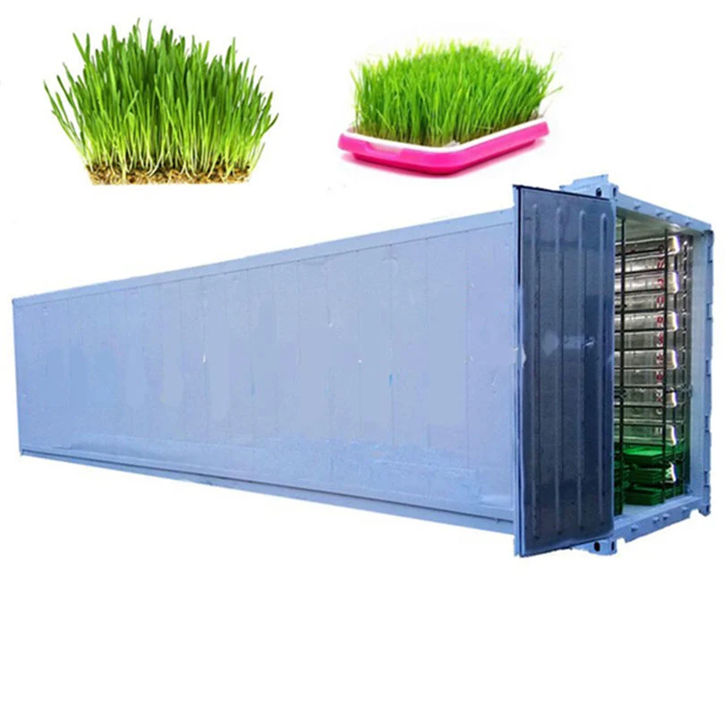 Container Greenhouse with Automatic Vegetable Hydroponics System