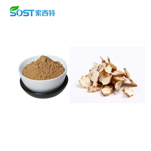 Extracto de raíz de Anemarrhena Asphodeloides de la Medicina Herbal China