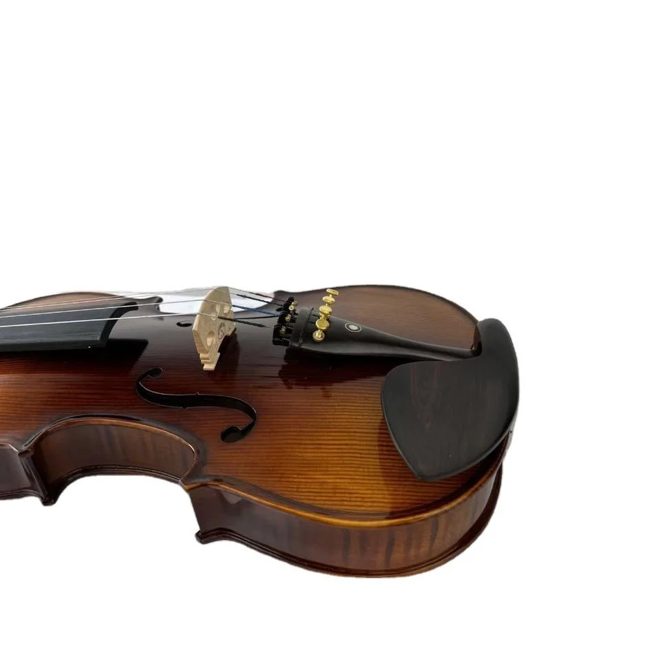 Hot Maple Advanced Sale China Carriage Case Violin