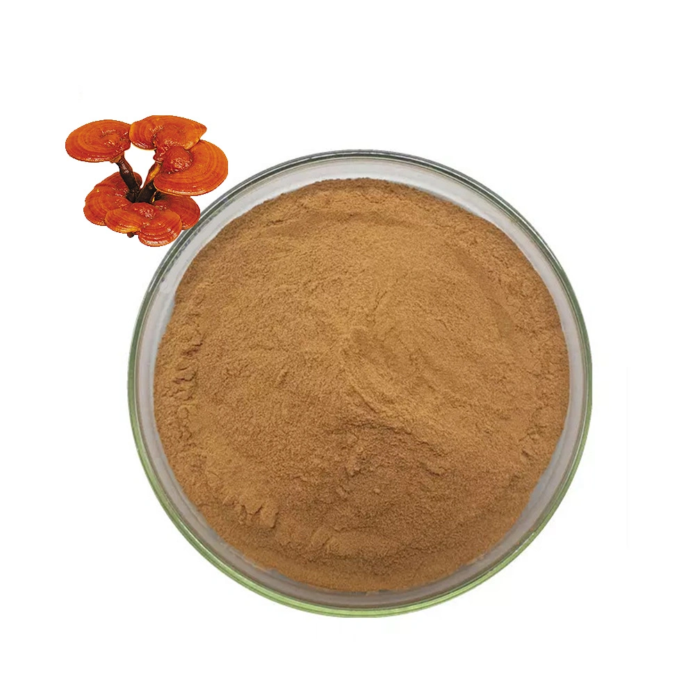 Wholesale/Supplier Price Food Grand Reishi Mushroom Extract Powder