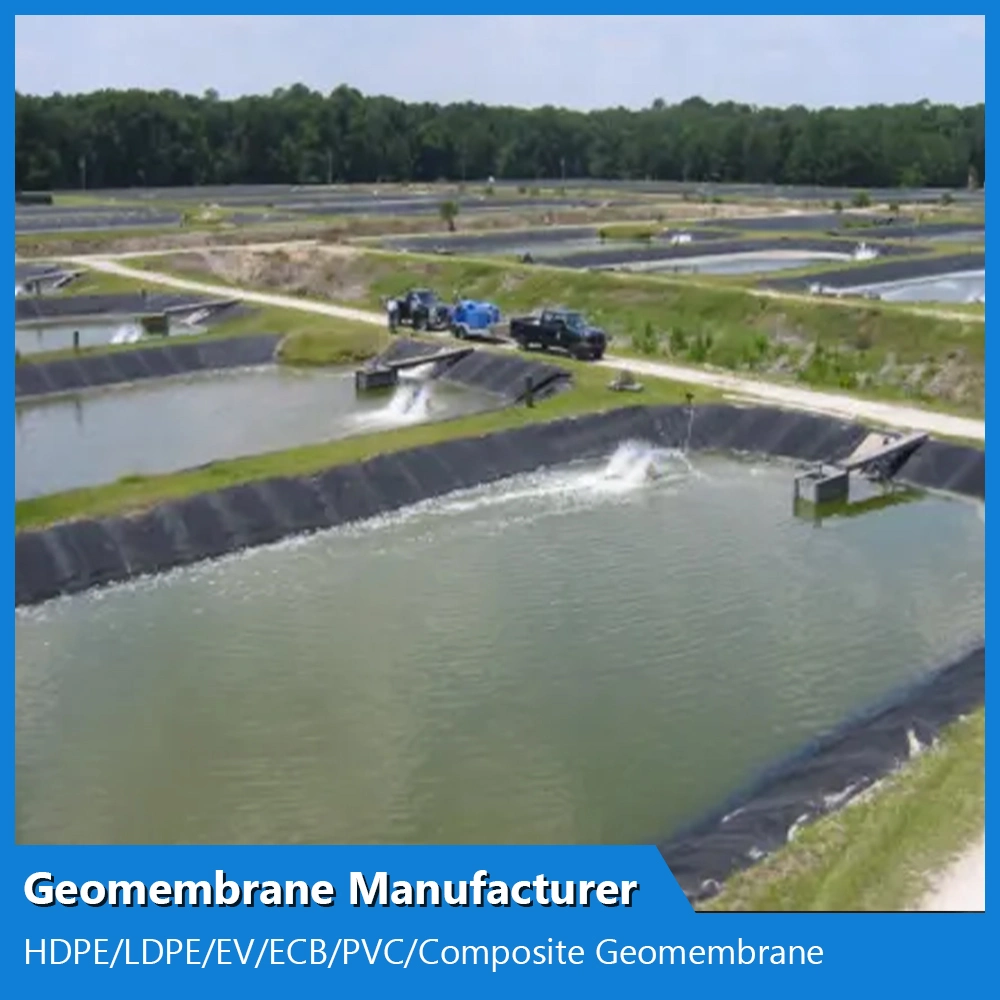 Fabricant de géomembranes ASTM personnalisées anti-infiltration imperméables lisses texturées HDPE/LDPE/PE/EV/Ecb/PVC texturées/composites.