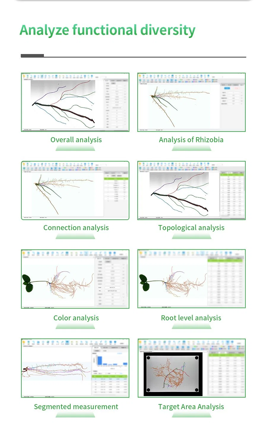 Measurement and Analysis of Plant Root Phenotype