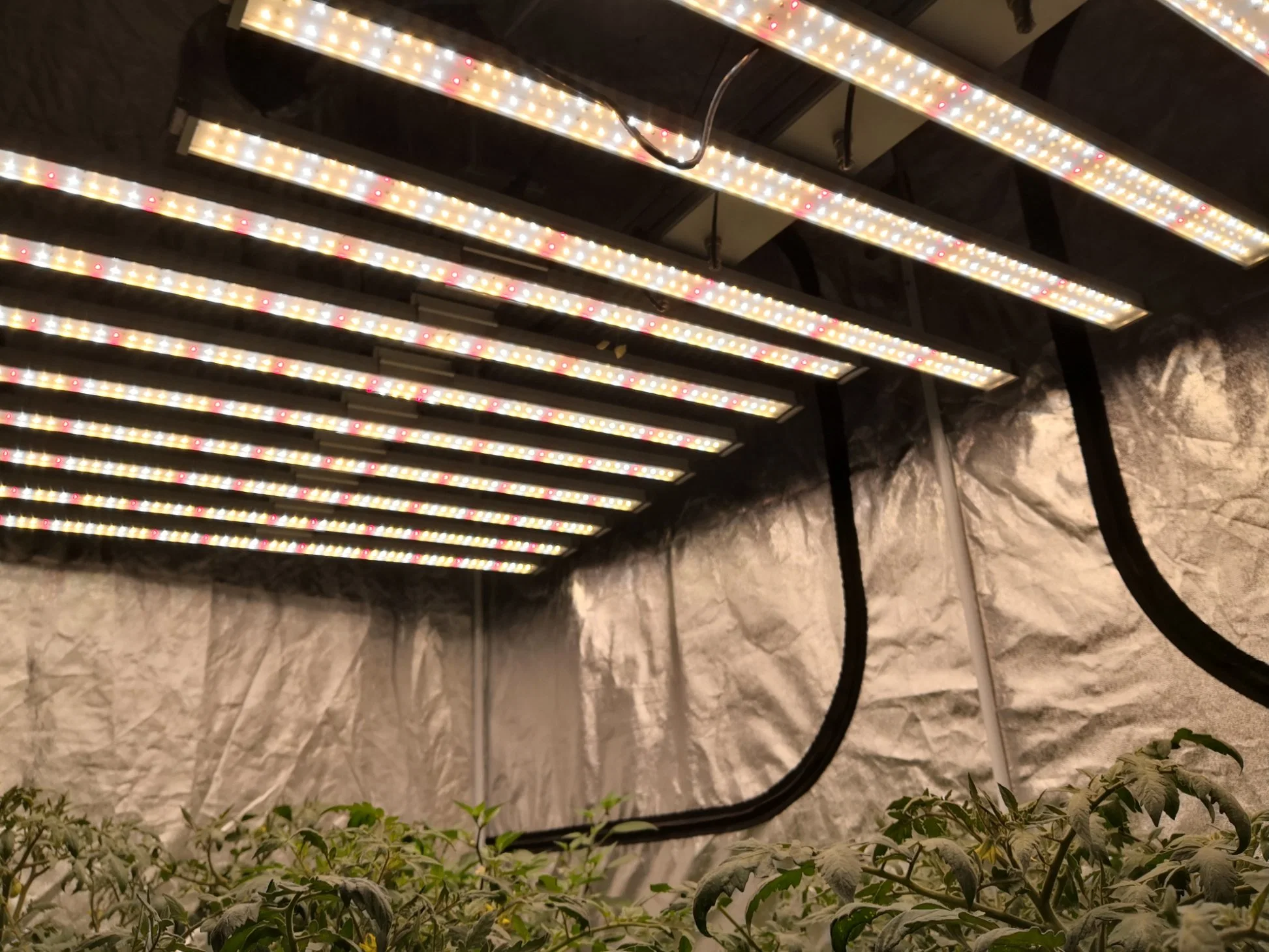 Full Spectrum High Power Adjustable LED Panel Tri-Proof Light High Bay Linear High Bay Flexible Strip Light 1000W LED Grow Light Full Spectrum