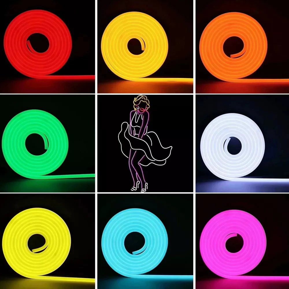 RGB Addressable LED Strip Waterproof Neon Luces LED Smart LED Strip/TV Backlight Rope LED Strip Light for Neon Sign