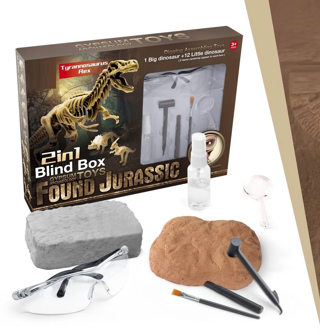 Tallo Toy niños Dig Arqueología plástica Fossils Conjuntos Mini Dinosaurio Juguetes para niños con Excavación de esqueleto