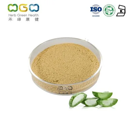 Source Factory Bulk Exprort 10-1 Pure Extract Curacao Aloe Vera Powder Ratio Extract