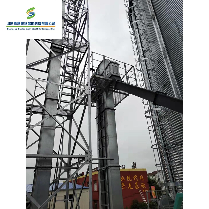 Hot Sale Industry Bucket Elevator Price for Bulk Material/Rice Mail/Grain/Corn/Concrete