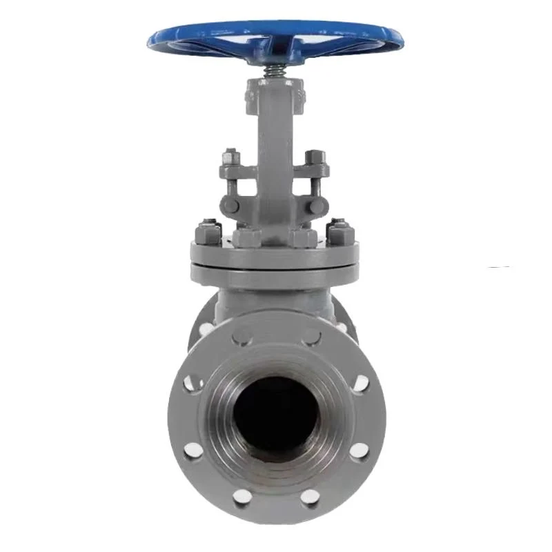 Bellows Globe Valve Worm Gear Rising Stem Globe Valve with Flange Connection