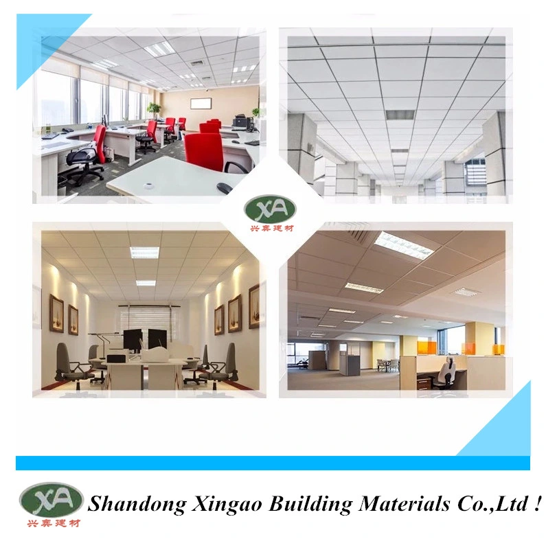 Customized Stretch Ceiling Material for House