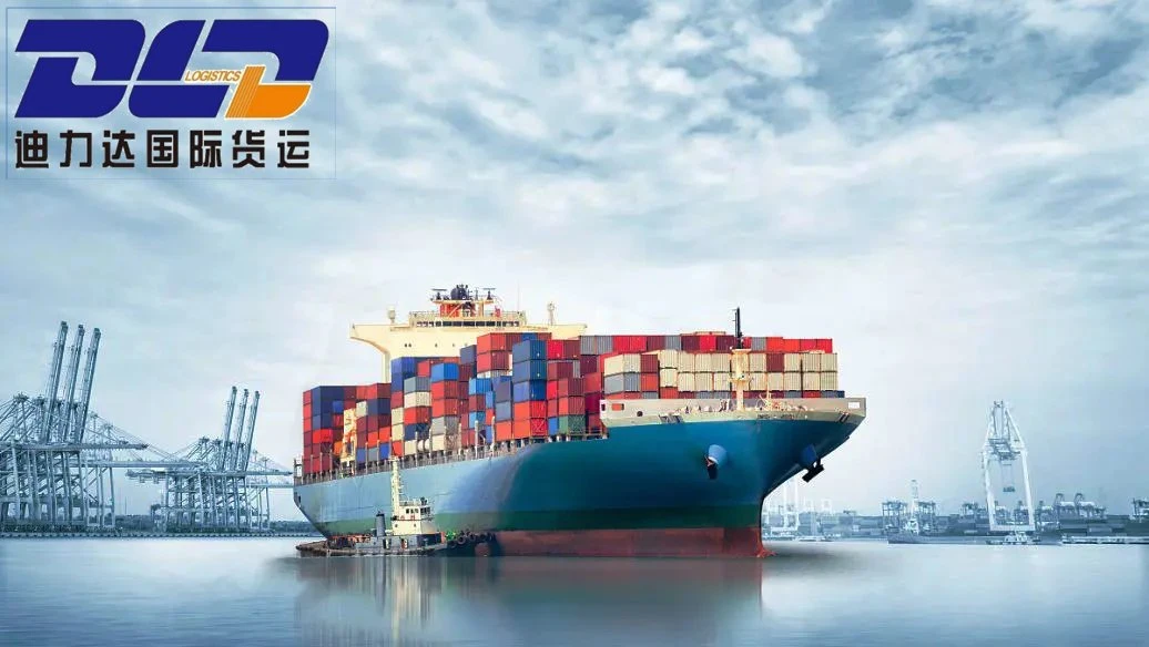 International Sea Logistics Shipping From China to Europe/Shenzhen Freight Forwarder to UK