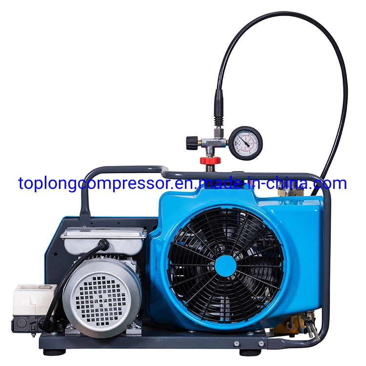 Compressor de ar de alta pressão OEM promocional da China por atacado 12V.