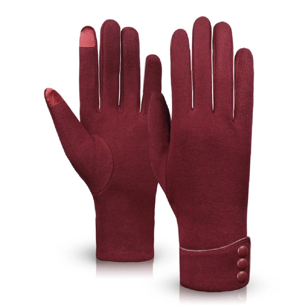 Gants chauds pour femmes, complets, coupe-vent, hiver, avec écran tactile Design d'écran Bl14522