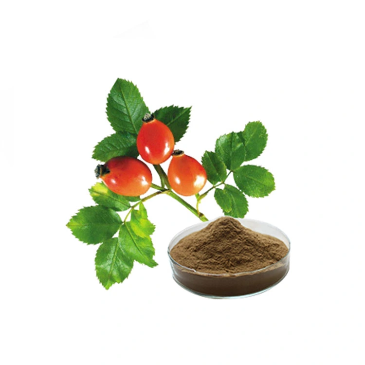 Prix d'approvisionnement en usine extrait de fruit de Rosehip poudre vitamine C Rosehip Extraire