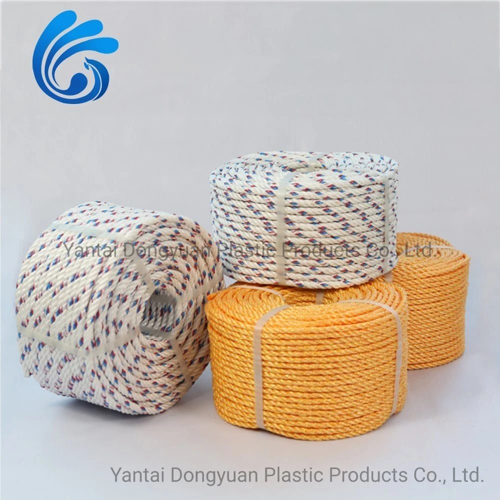 Chinese PE Poplyethylene Nylon Rope for Fishing Use