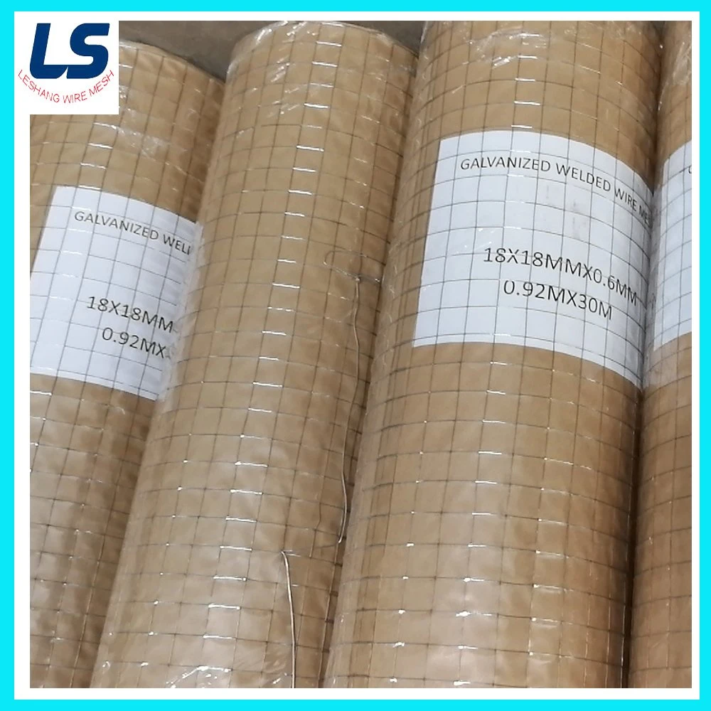 Hot-Dipped Galvanized Welded Wire Mesh with Factory Price