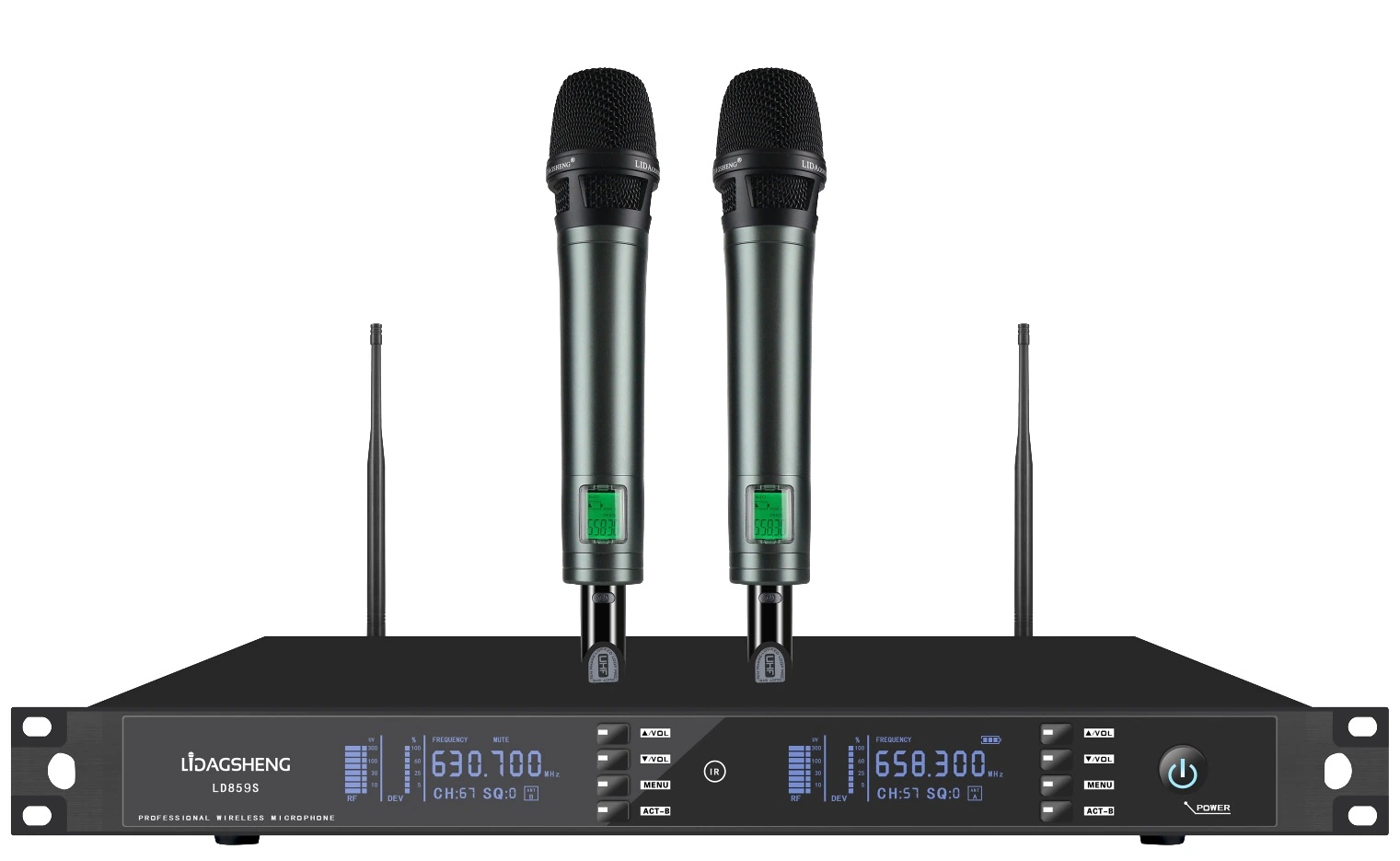 Micrófono inalámbrico portátil de frecuencia ajustable de 2 canales Temeisheng