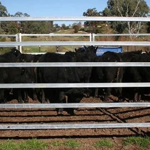 Gestation-with Front Door Farrowing Crates for Pigs