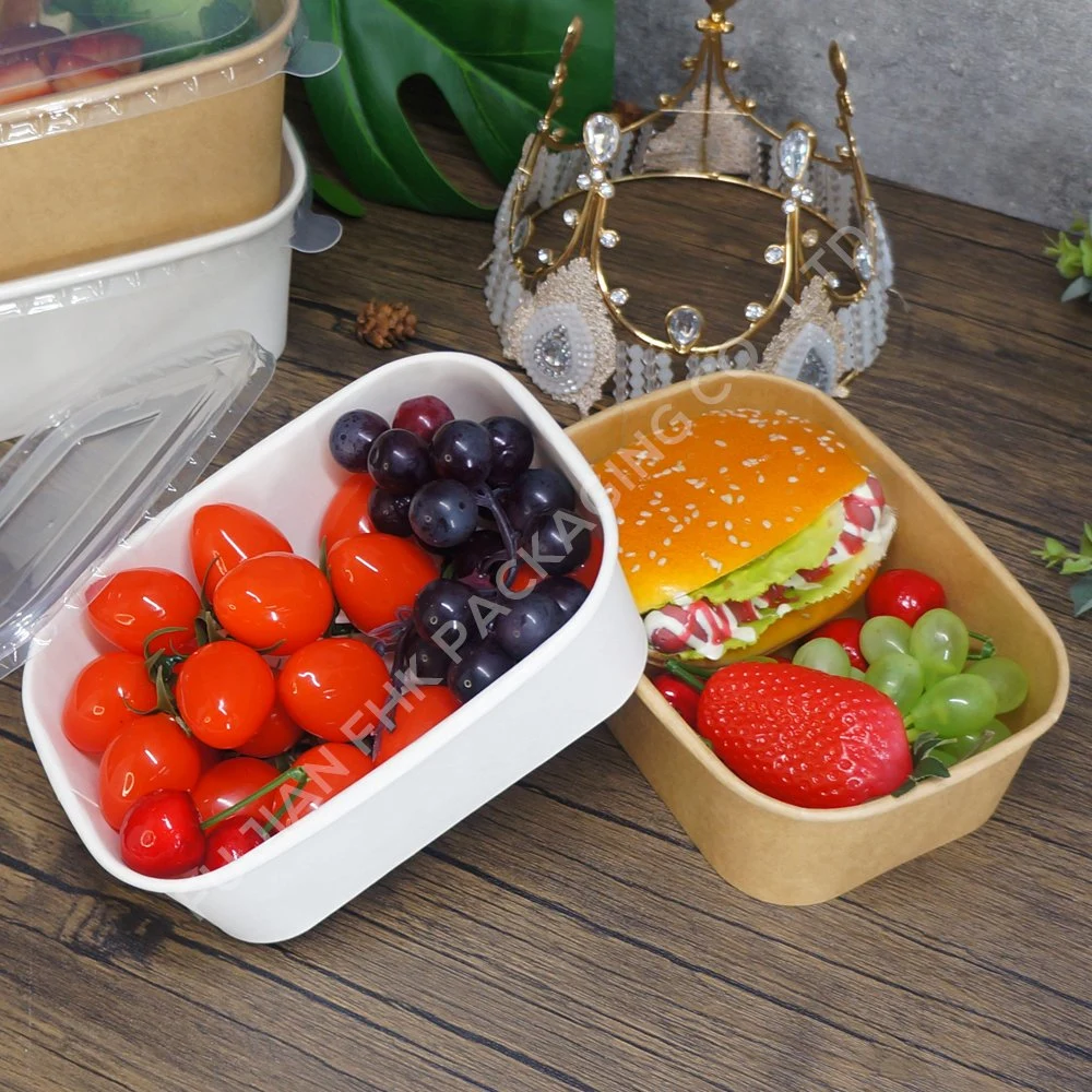 FDA/EU Approval Biodegradable Compostable Packing Paper Bowl Square Salad Cardboard Large Kraft Paper Food Box with Lid