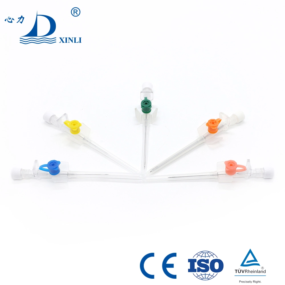 Cateter IV estéril para medicina descartável/cânula IV/caneta de cânula intravenosa/asa/injecção Digite