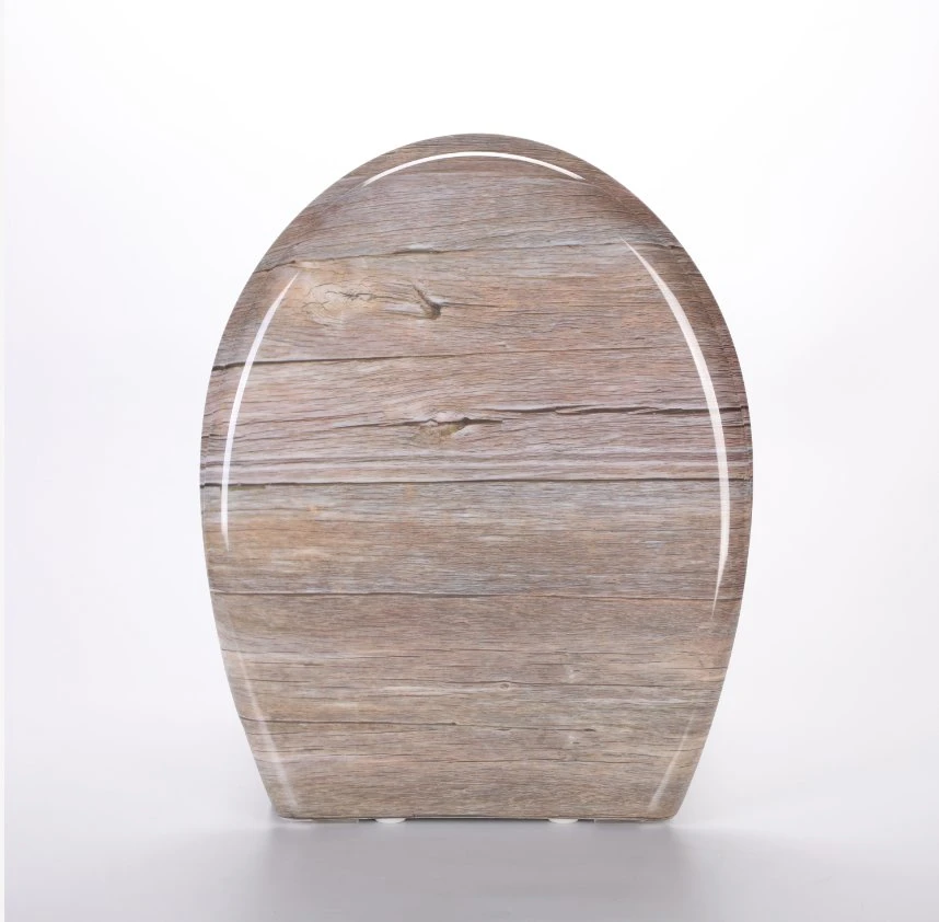 a High-End Hot Toilet Seat Designed for Europeans