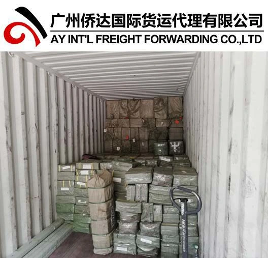 Reliable Guangzhou Shipping Company From China to All Over World