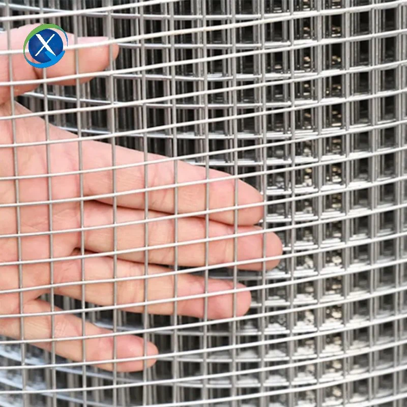 12 Gauge Hot Dipped Galvanized Welded Wire Mesh Price