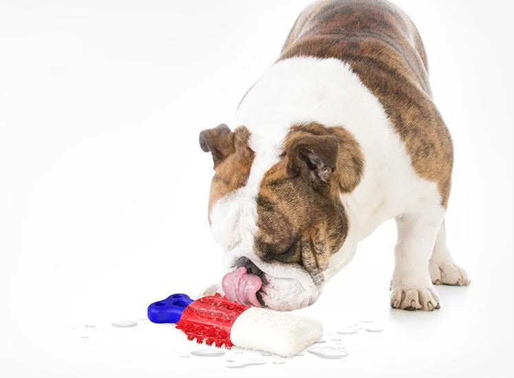 Boa qualidade de produto Pet Dog brinquedos de plástico para aliviar a ansiedade