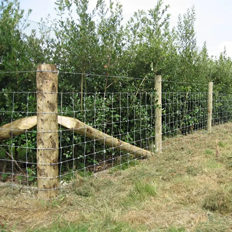 Gado de fazenda Fence arame de criação Fence com Prairie Farm Fence