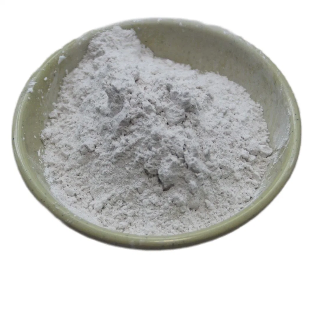 Dolomite Powder HS Code 283660 for Building Material