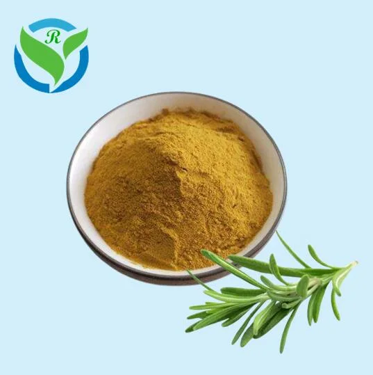 Natural Rosemary Leaf Extract Rosmarinic Acid CAS 20283-92-5 Purity 99% Rosmarinic Acid