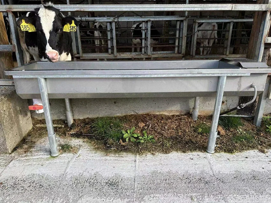 Bestpreis Kuh Farm Maschine / Ausrüstung Rinder Ziege Schaf Trinkwasser Tröge